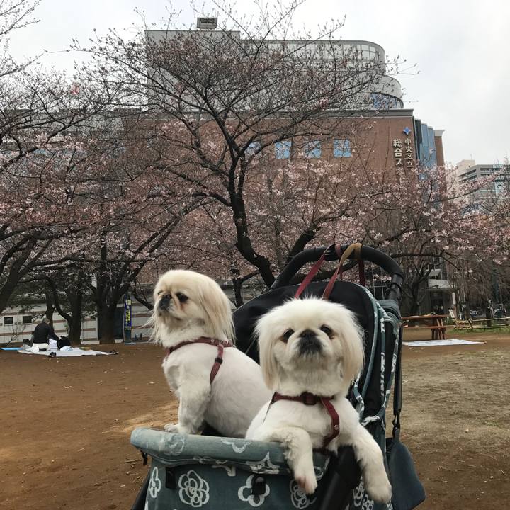 1a96505c 581c 44ec 8514 b7ac0702b149