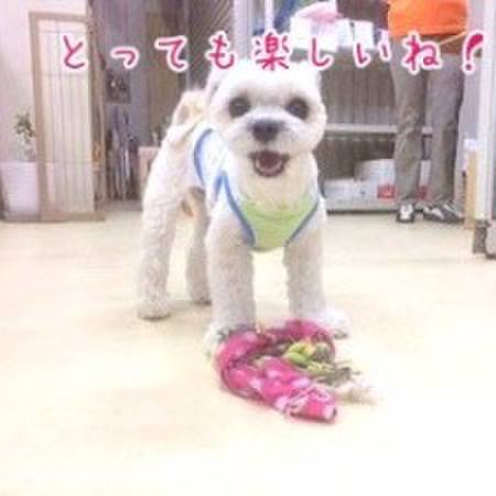 1a965b1d a89c 45de a851 dff34ef7906a