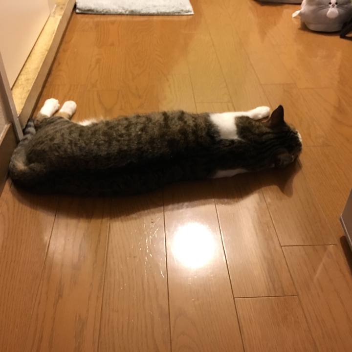 1a987005 82ed 482f aa75 14b6073a8407