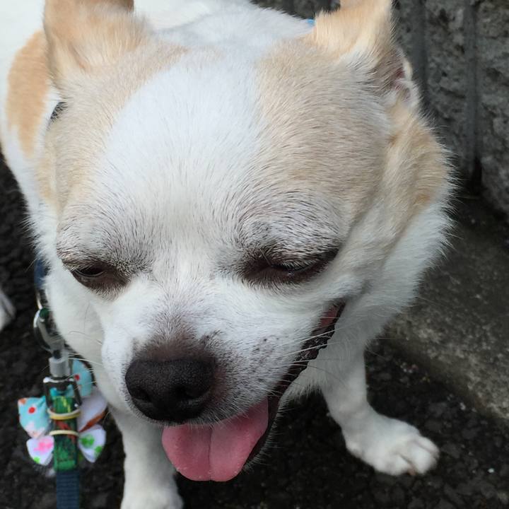 1a9944dd 005d 43bd 91e2 f3d2fade444a