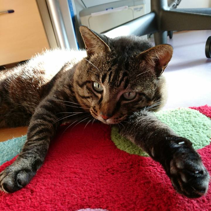 1a9b55d4 ccef 4d63 9a8b 14e257b19a17