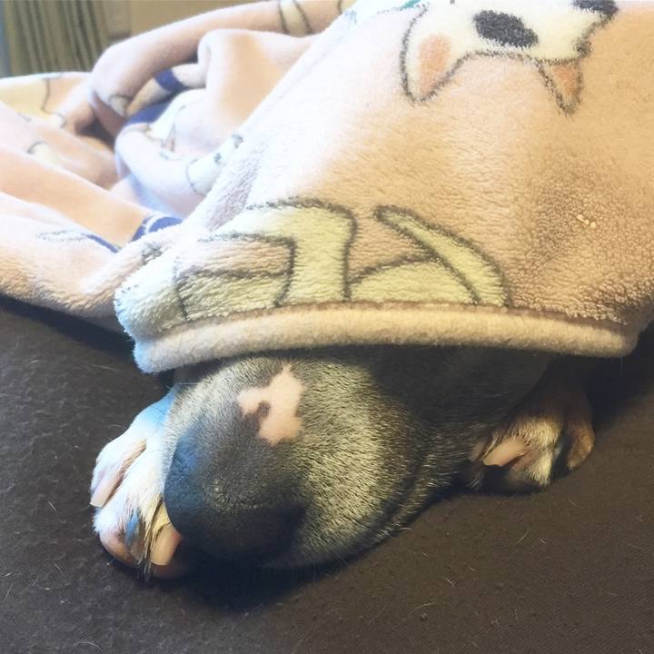 1a9b7d0b da4c 4a2a a0d8 21de7cf7ae9f