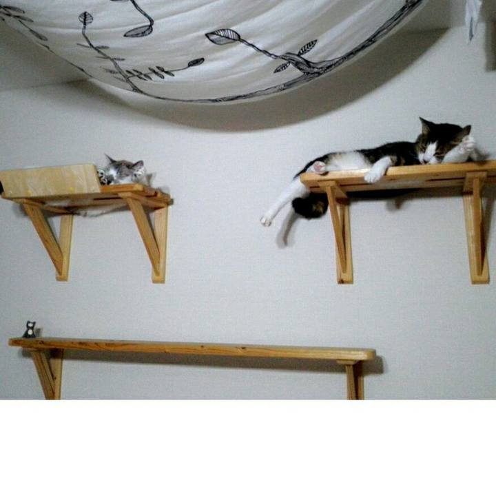 1a9bf2d2 98e9 4dcf 8e4c f256788e2f90