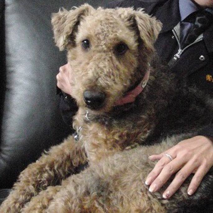 1a9c206a 4abf 47fe 8de7 7068ad07349a