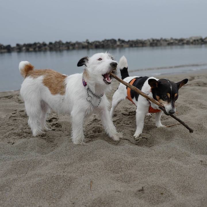 1a9c77b4 9cbb 4c53 be6e 9ff4f61712ba