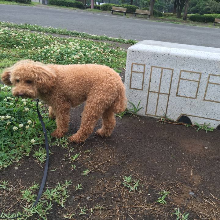 1a9c8aa8 ff6b 49d2 a307 2ca01acbb81d