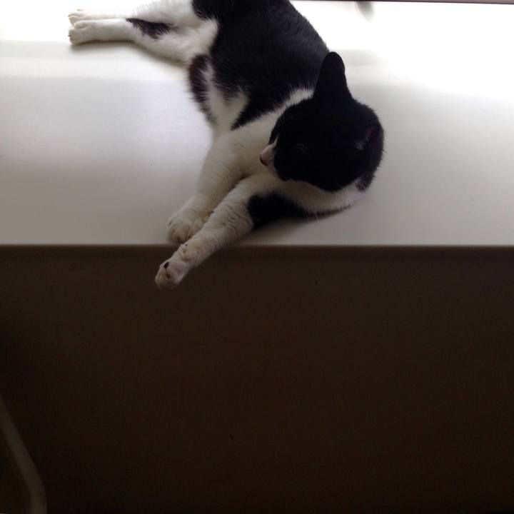 1a9cacb9 dbe3 494b 9d8c e3f699631f30