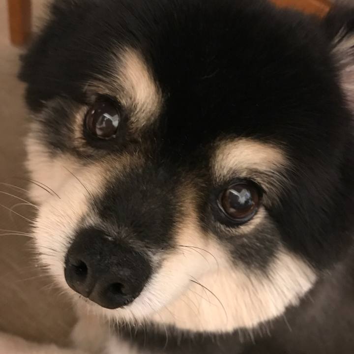 1a9d2cf7 2e60 4053 965a 2aec54ea3f4b