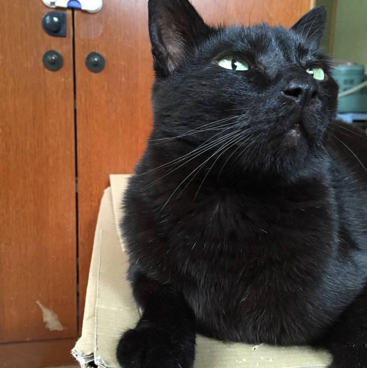 1a9d7b56 8b78 4729 ab7d 624be37e5373