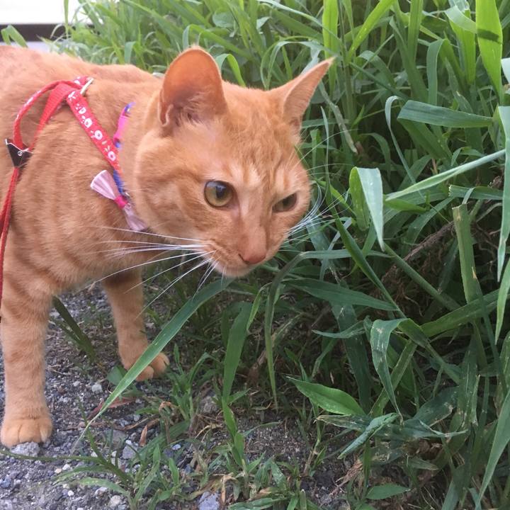 1a9d82c4 e9cd 48ee 8d99 8b117696a757