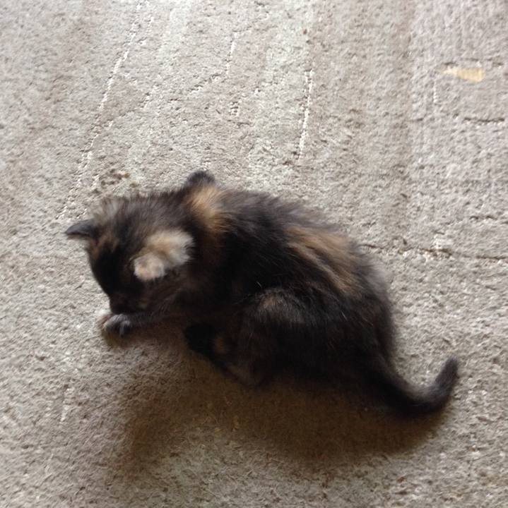 1a9d89ee 60d3 437a bcfa 1955cbfd1175