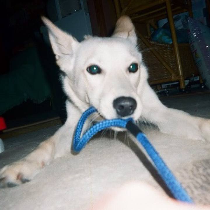 1a9dada5 6a26 4bed 975b f82dbf053da6