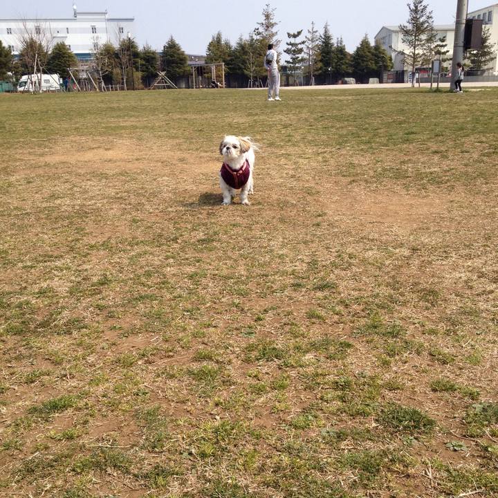 1a9e118e 6fc5 4ad0 9961 8245ba4a17ae