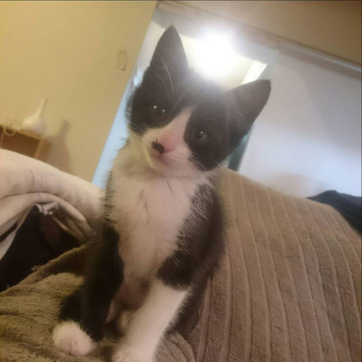 1a9e3d65 de46 42e8 a8dc f4cfe7e35c08