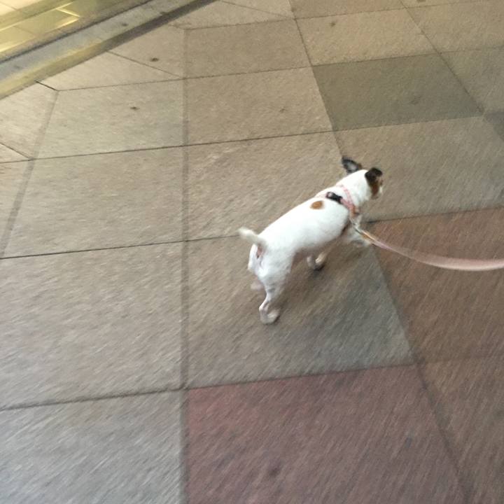 1a9f88b1 0a4b 436a b9c4 8019fb4ce739