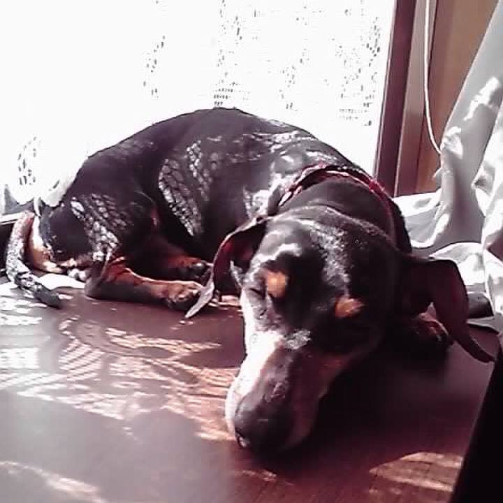 1a9f9f06 2b59 4669 80c6 747a8e259542