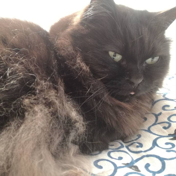 1aa0011c 9081 4a40 a153 e69ffac5e5f5