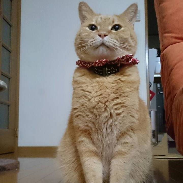 1aa05469 1507 4855 a6e9 768bad9a8806