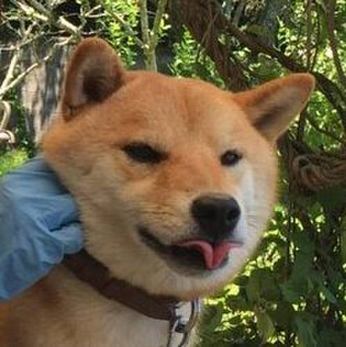 1aa08930 c947 471c ad23 69e8ca75cb68