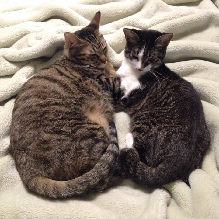 1aa0b378 12ff 4523 a692 d73b8fe34b50