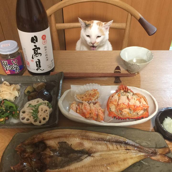 1aa0dd6b 9c2f 4b70 9a07 7bcff36c2d4c