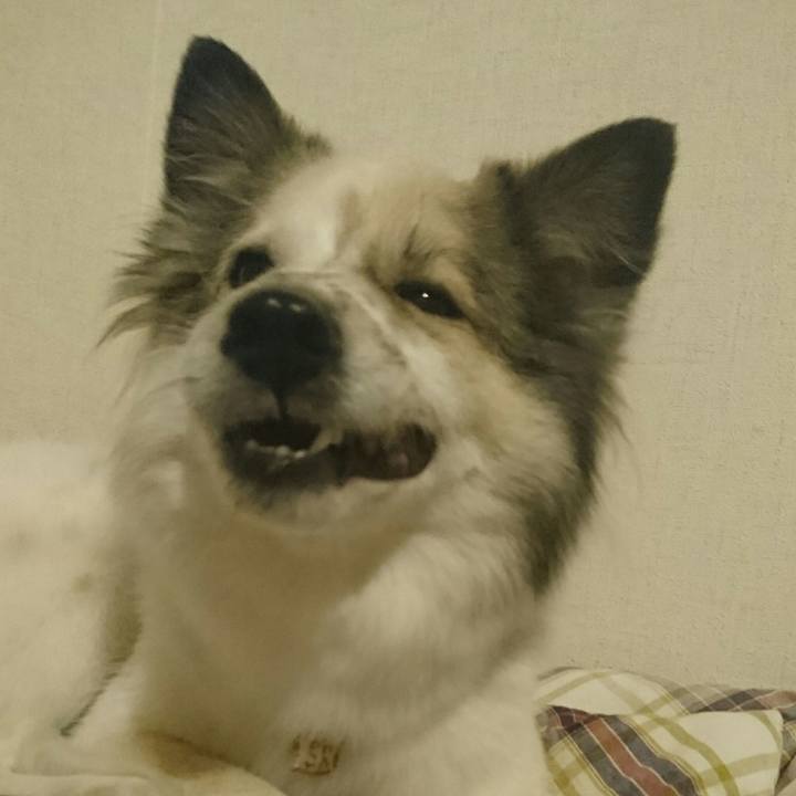 1aa1920b db5a 4f98 b8c9 1a63a5309a85