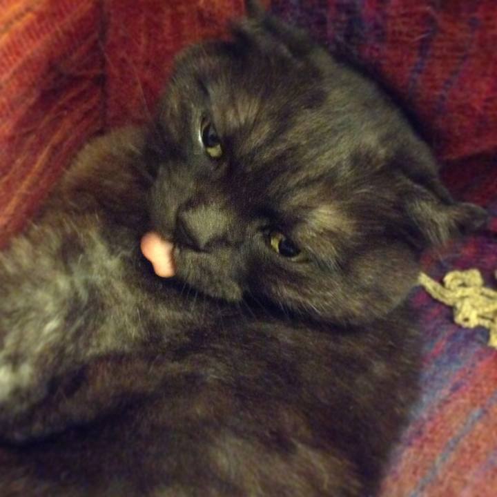 1aa1e908 8850 464c bde3 080ade5055be