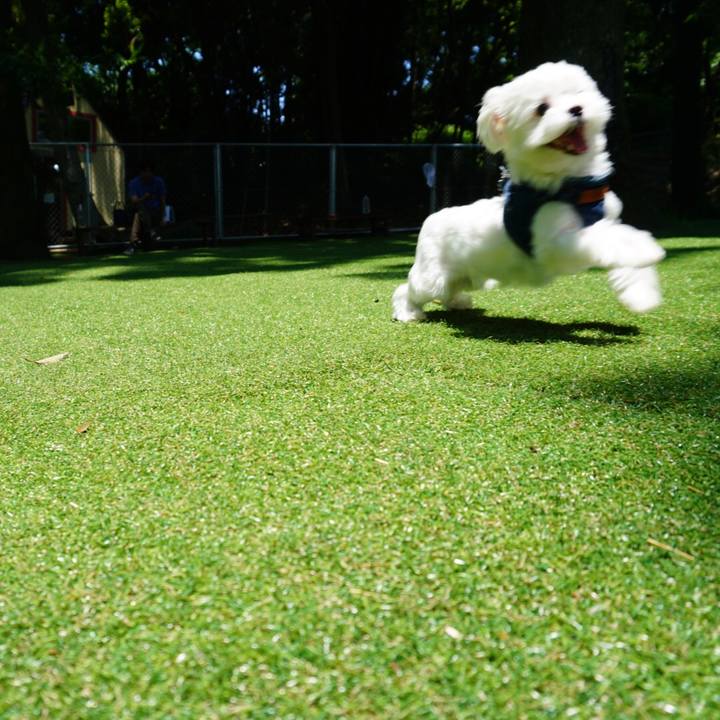 1aa2a30f 284a 4567 9ab9 4bf548c04605