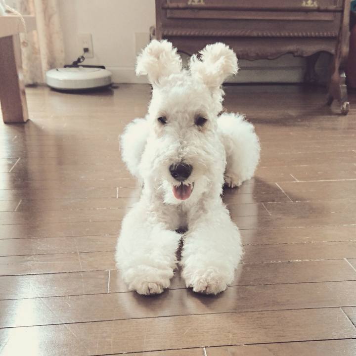 1aa2b26f cd71 4c87 a510 9830af47c9a8