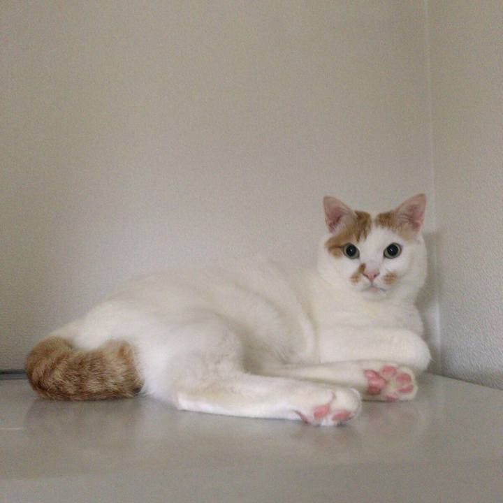 1aa2c25a 9d7a 4eb8 856b 6c6ab2cf7c84