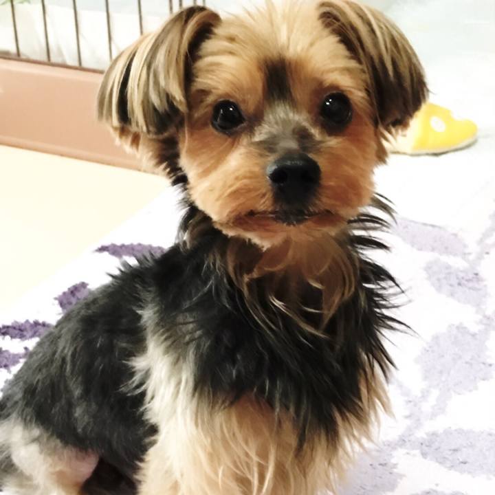 1aa339db c0cb 410f a323 f6987d5d16b7