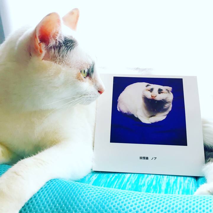 1aa443e4 8757 4cc5 a894 27f9cd993fe2