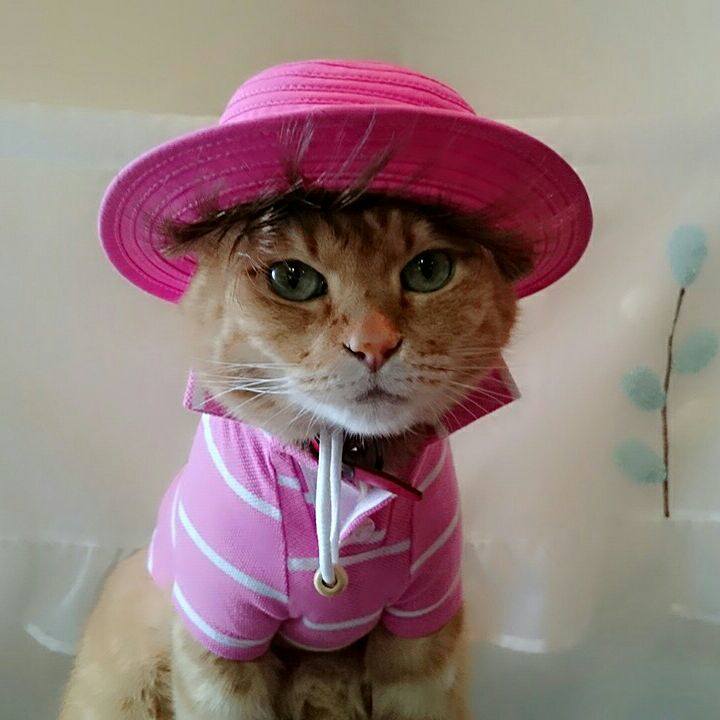 1aa51cfc 517e 4c80 bcc1 afa396dbe299