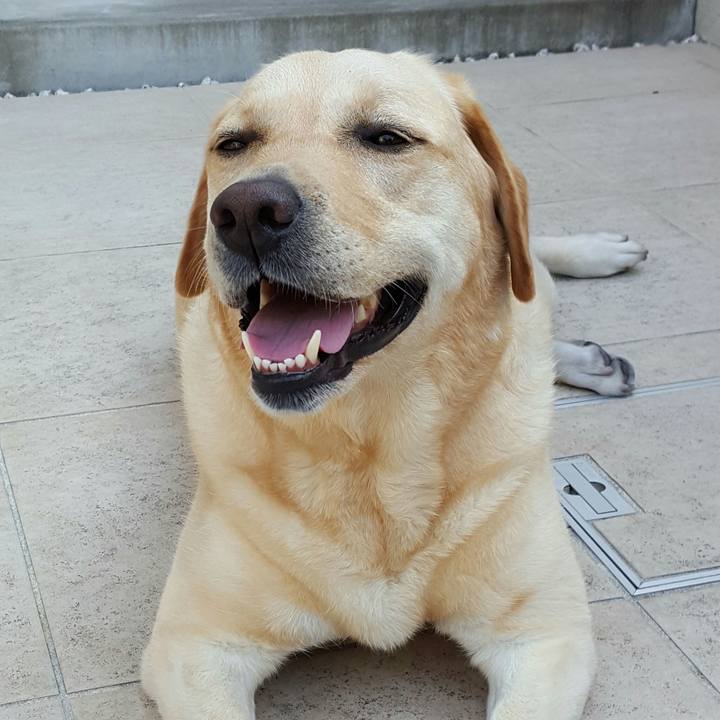 1aa55d76 f9fe 4cad be85 ed7c6461171a