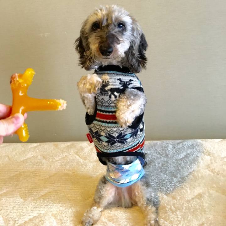 1aa5c5ff 0e52 4627 a067 166e8b5eaa19