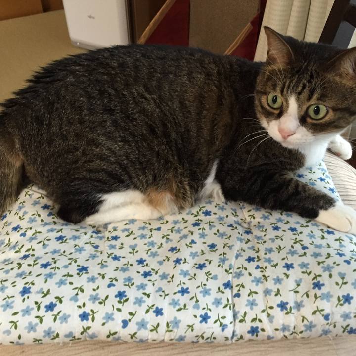 1aa5dbac 4e78 4abe ac25 0aaa5b462d9a