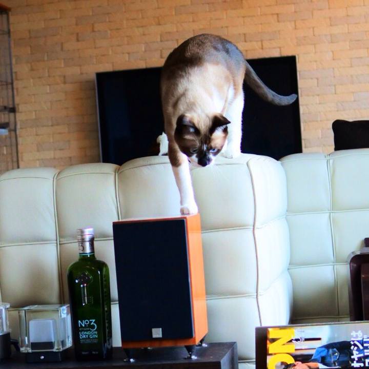 1aa5e2b9 2225 41eb 9154 de173b5ca3e2