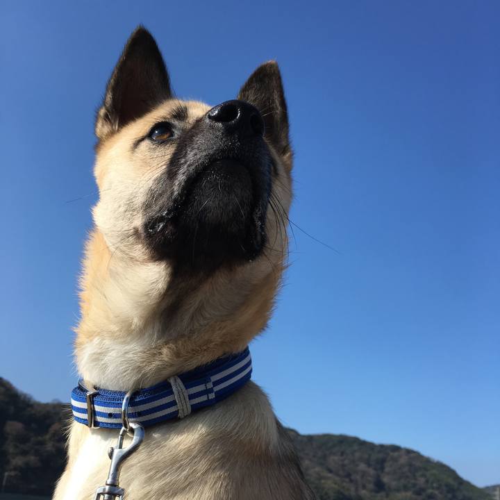 1aa607aa ecb2 4db7 9d55 e8761edb5e0b