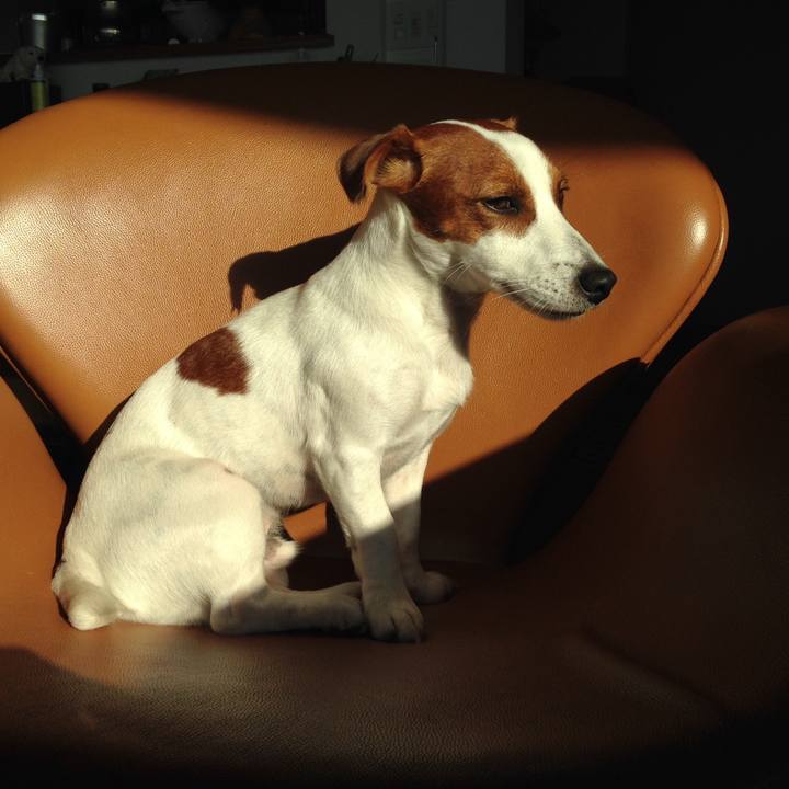 1aa63ed5 dedc 4784 b5e3 29e16fdf06bd