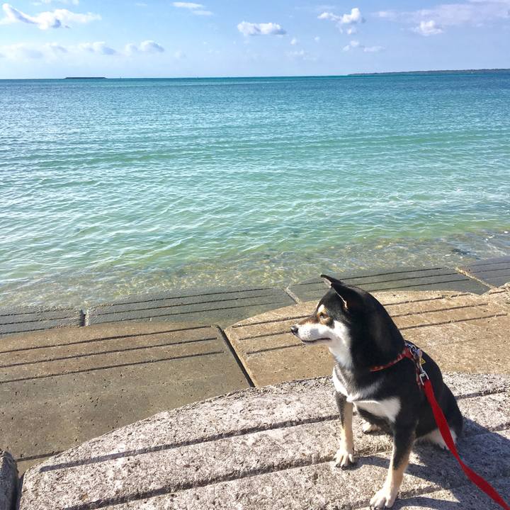 1aa69da2 96f9 406d bdcb 7a57f745abf2