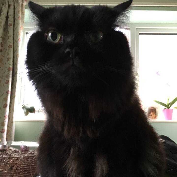 1aa6a7e4 b45d 414d a1c1 971bc3a91ab4