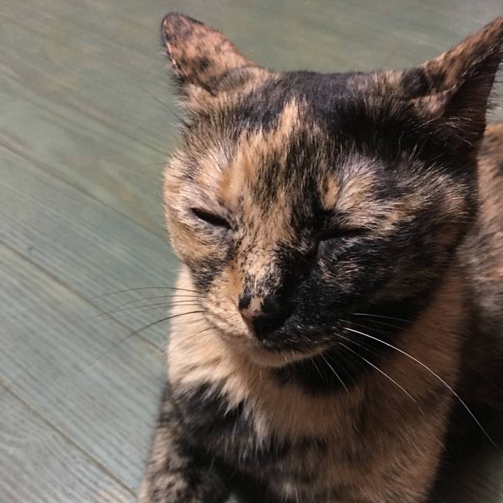 1aa6c885 fefa 47e3 a940 d08076ff80e0