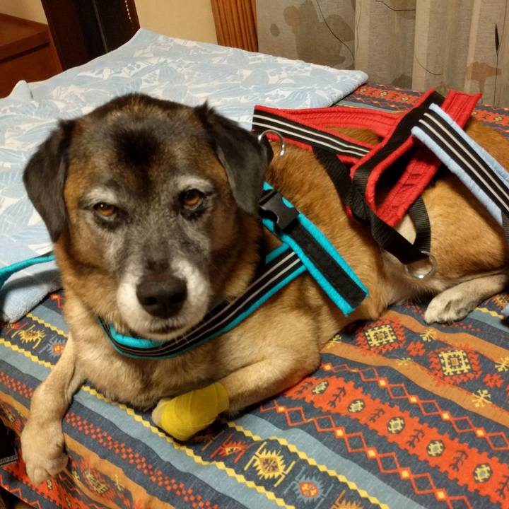 1aa71ff2 ce82 44fb 9cc6 99ea286b2a67