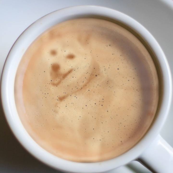 1aa79d94 246c 4aa7 9f66 34c919411c56