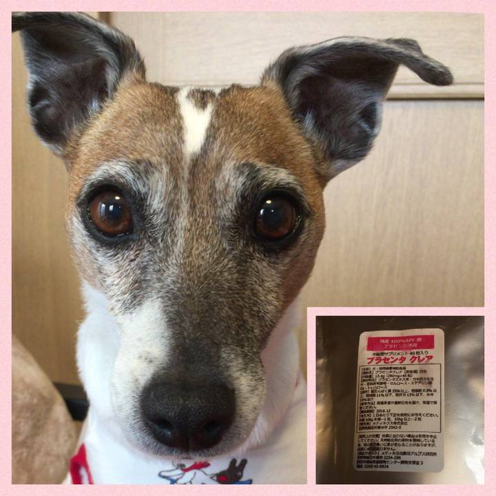 1aa86567 e721 4847 a8af 7ada69b6046c