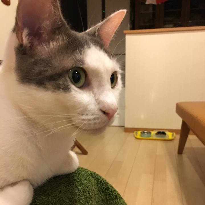 1aa97be8 6fb0 4189 857d 38f13542ee75