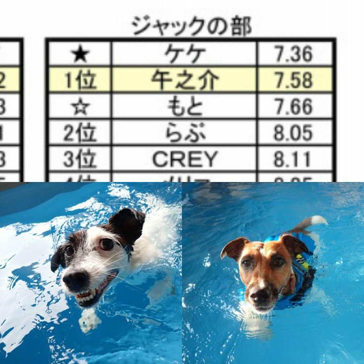 1aa9a84a 43dd 4f49 b594 875bf852e504