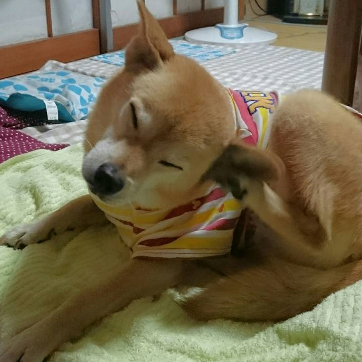 1aa9e7cb 3c8c 407f 8cad 8379f88724e0