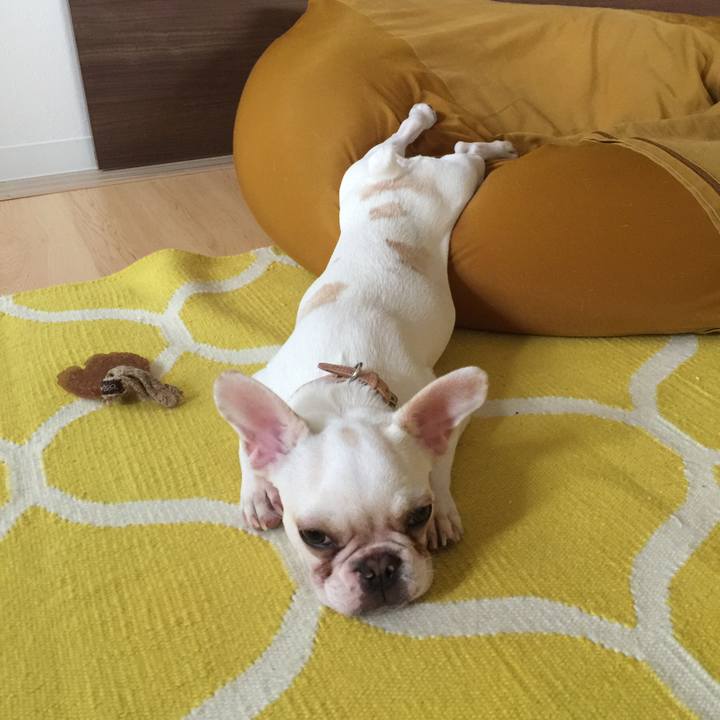 1aa9eb7a 28c7 4330 bcbd acb772bb4ac0