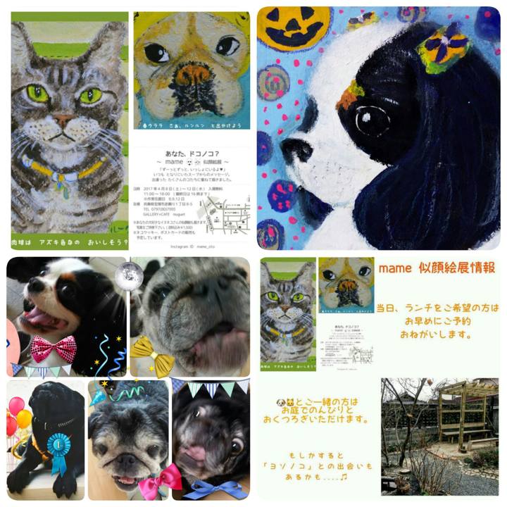 1aa9ecce 237f 40e8 940e 09b0a12540bf